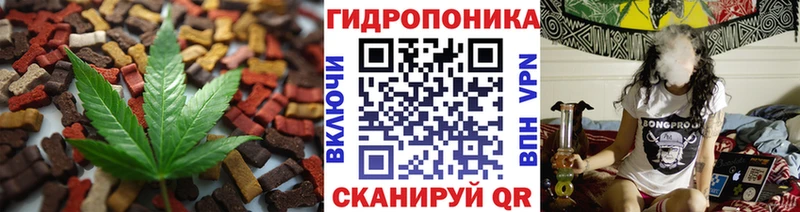 KRAKEN ONION  Суджа  Canna-Cookies конопля  продажа наркотиков 
