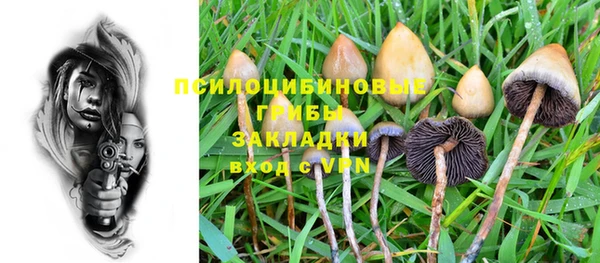 прущий лед Балабаново