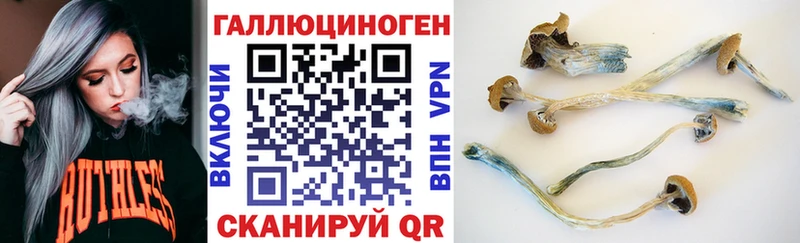 Псилоцибиновые грибы GOLDEN TEACHER  магазин    Суджа 